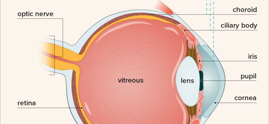 Iritis and ciliary body inflammation &#8211; symptoms and treatment