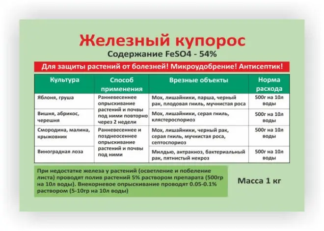 Iron vitriol: application in viticulture (fertilizing, protection against diseases and pests, disinfection) + benefits