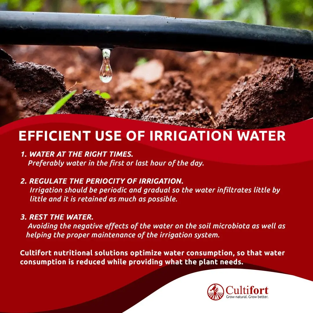 Irrigation &#8211; what is it, where and when to use it?