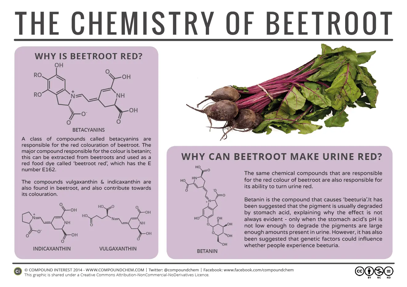 Is beetroot red urine a symptom of a disease?