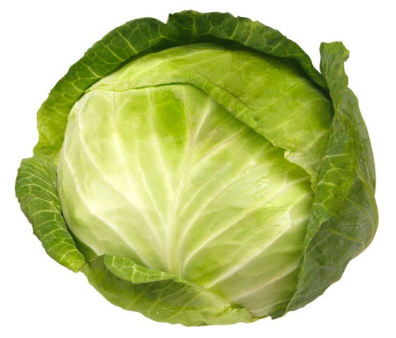 Is cabbage possible for pregnant women: benefits and harms