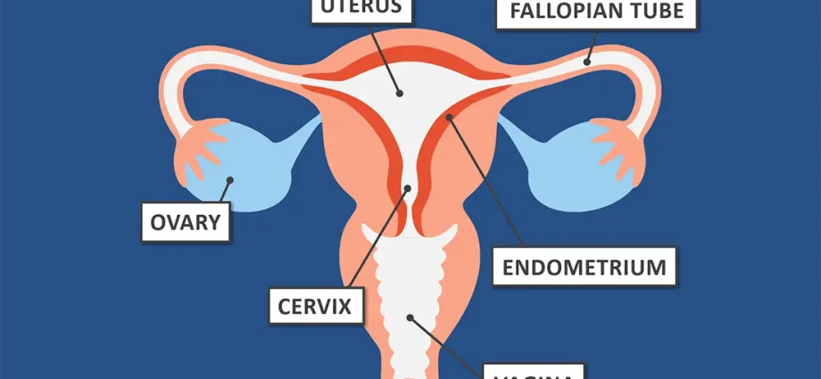 Is cervical cancer hereditary?