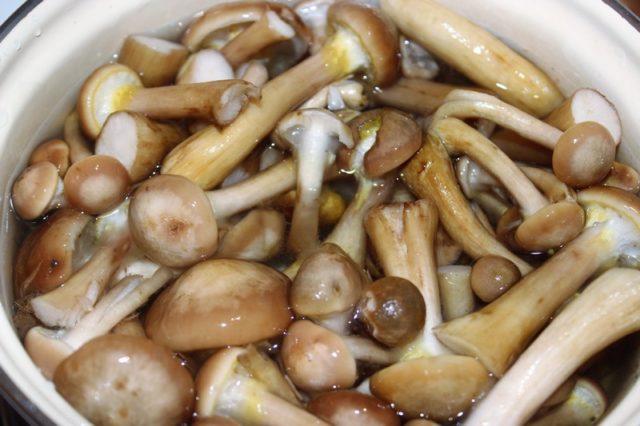 Is it necessary to soak mushrooms: before cooking, salting, frying