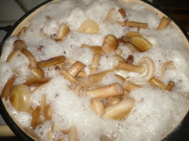 Is it necessary to soak mushrooms: before cooking, salting, frying