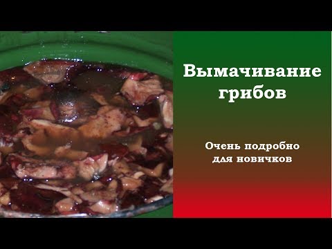 Is it necessary to soak mushrooms: before cooking, salting, frying