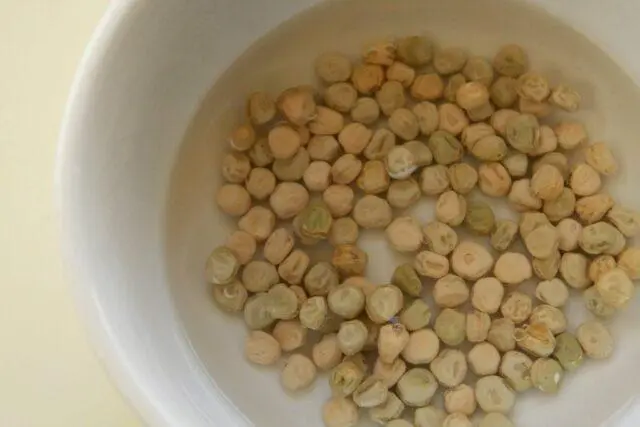 Is it possible and how to germinate peas for food and before planting