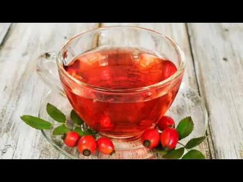 Is it possible and how to take rosehip during pregnancy