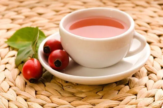 Is it possible and how to take rosehip during pregnancy