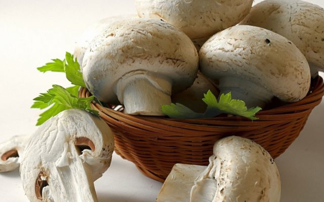 Is it possible for children to have champignons at 1,2, 3, 4, 5, 6 years old, Komarovskys opinion