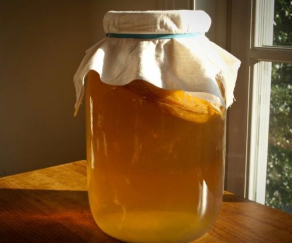 Is it possible to drink kombucha for pregnant and lactating mothers: benefits and harms, reviews