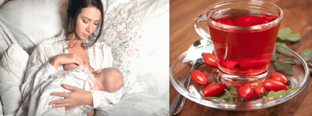 Is it possible to drink rose hips with GV of a newborn