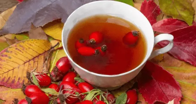 Is it possible to drink rose hips with GV of a newborn