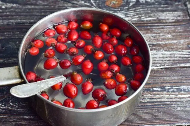 Is it possible to drink rose hips with GV of a newborn