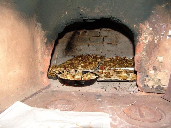 Is it possible to dry butterflies for the winter: rules for harvesting (drying) mushrooms at home