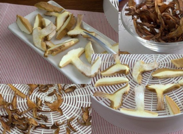 Is it possible to dry butterflies for the winter: rules for harvesting (drying) mushrooms at home