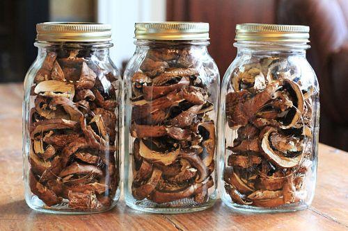 Is it possible to dry butterflies for the winter: rules for harvesting (drying) mushrooms at home