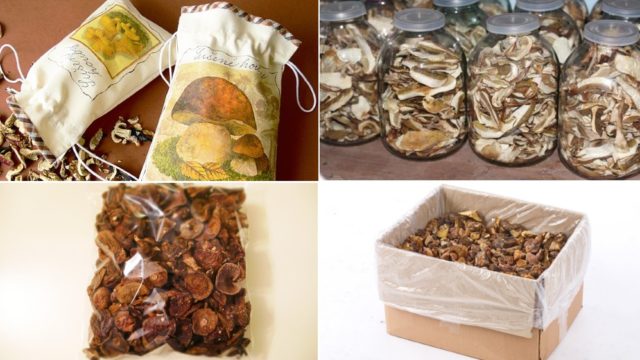 Is it possible to dry butterflies for the winter: rules for harvesting (drying) mushrooms at home