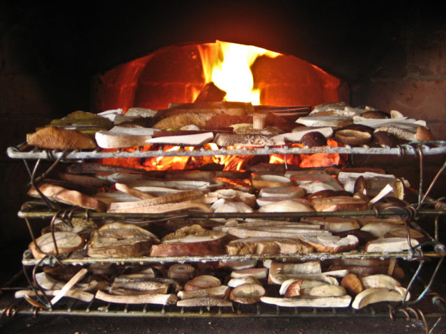 Is it possible to dry butterflies for the winter: rules for harvesting (drying) mushrooms at home