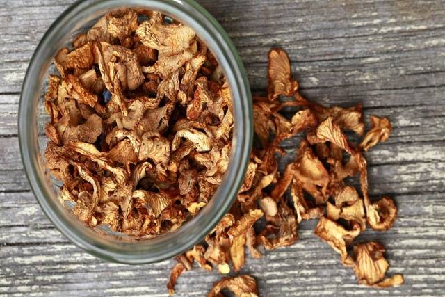 Is it possible to dry mushrooms in an electric dryer