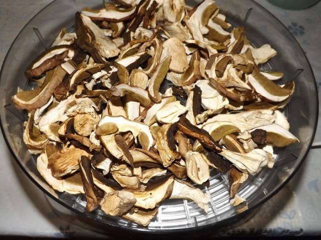 Is it possible to dry mushrooms in an electric dryer