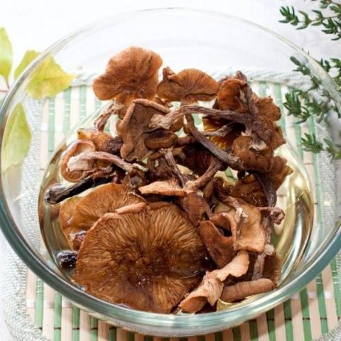 Is it possible to dry mushrooms in an electric dryer