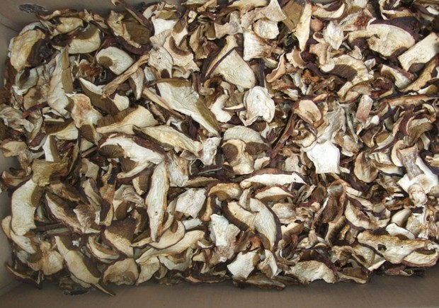 Is it possible to dry oyster mushrooms and how to cook