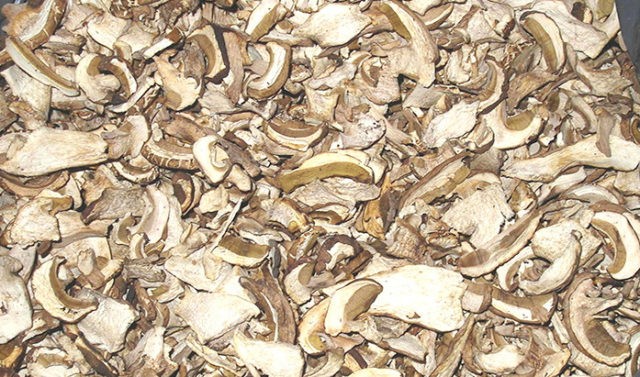 Is it possible to dry oyster mushrooms and how to cook