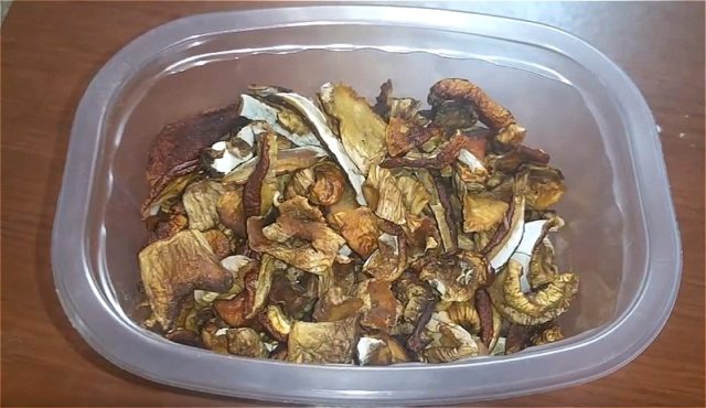 Is it possible to dry oyster mushrooms and how to cook