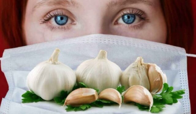 Is it possible to eat garlic during pregnancy in the 1st, 2nd, 3rd trimester