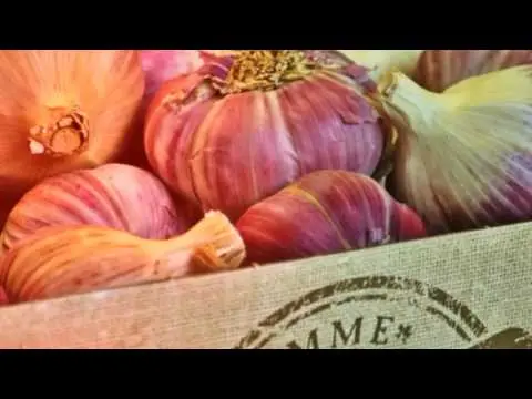 Is it possible to eat garlic during pregnancy in the 1st, 2nd, 3rd trimester