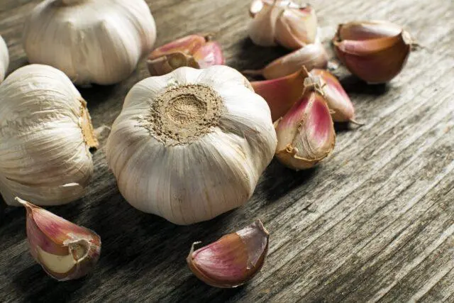 Is it possible to eat garlic with diabetes mellitus type 1, type 2