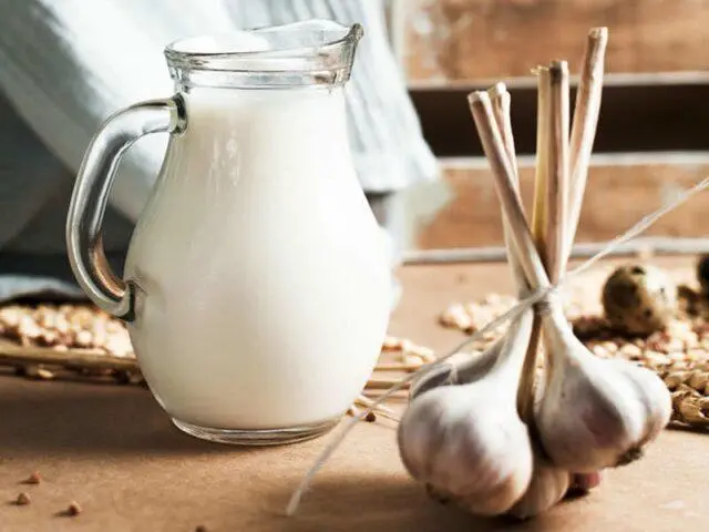 Is it possible to eat garlic with diabetes mellitus type 1, type 2