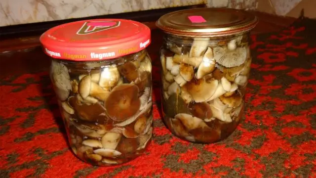 Is it possible to eat overgrown mushrooms and what to cook from them