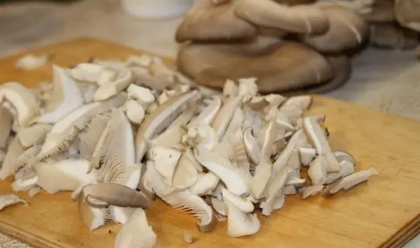 Is it possible to eat oyster mushrooms raw