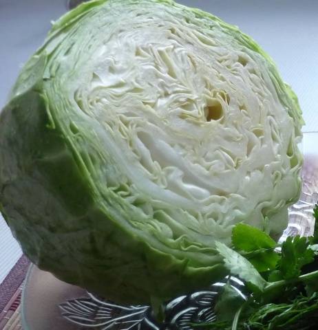 Is it possible to ferment cabbage in a plastic bucket