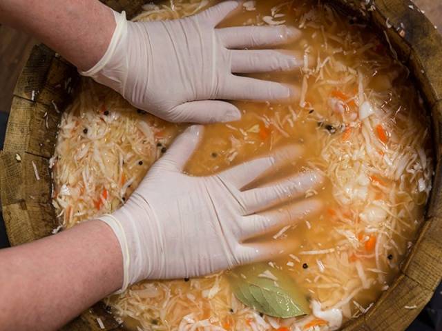 Is it possible to ferment cabbage in a plastic bucket