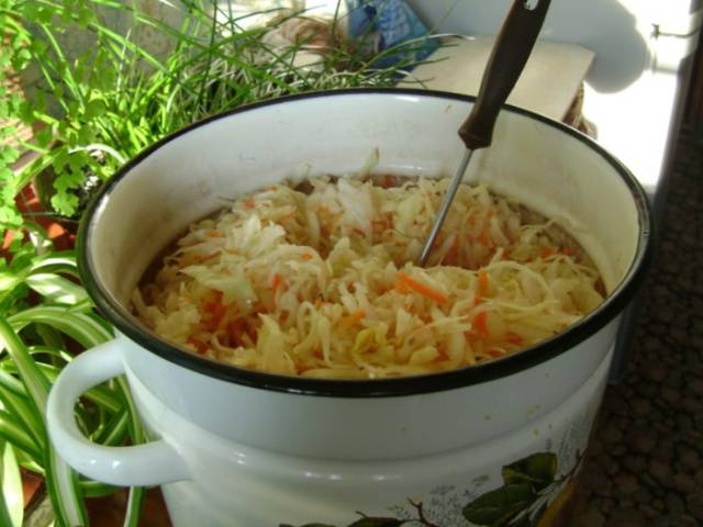 Is it possible to ferment cabbage in a plastic bucket