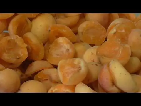 Is it possible to freeze apricots