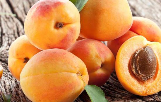 Is it possible to freeze apricots