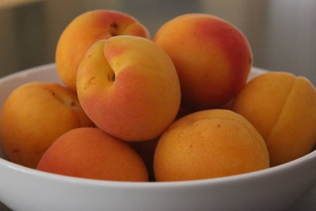 Is it possible to freeze apricots