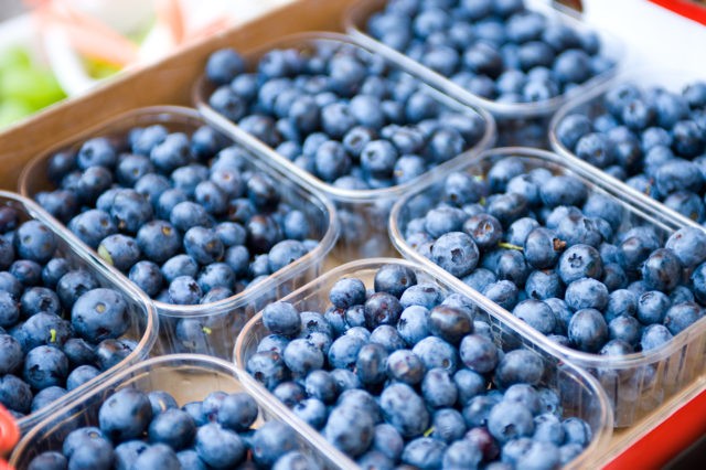 Is it possible to freeze blueberries for the winter