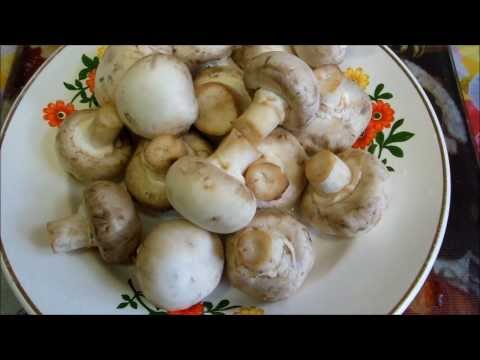 Is it possible to freeze champignons in the freezer: fresh, raw, canned