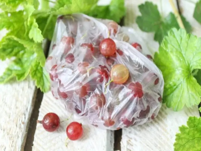 Is it possible to freeze gooseberries for the winter: benefits, 5 ways to freeze