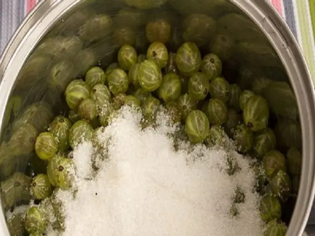 Is it possible to freeze gooseberries for the winter: benefits, 5 ways to freeze