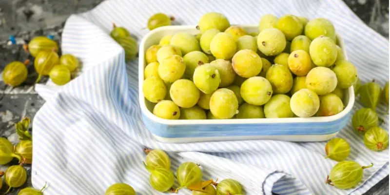 Is it possible to freeze gooseberries for the winter: benefits, 5 ways to freeze