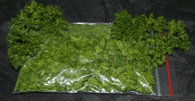 Is it possible to freeze parsley for the winter