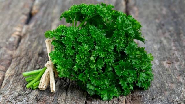 Is it possible to freeze parsley for the winter