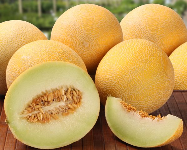 Is it possible to get poisoned with melon: symptoms