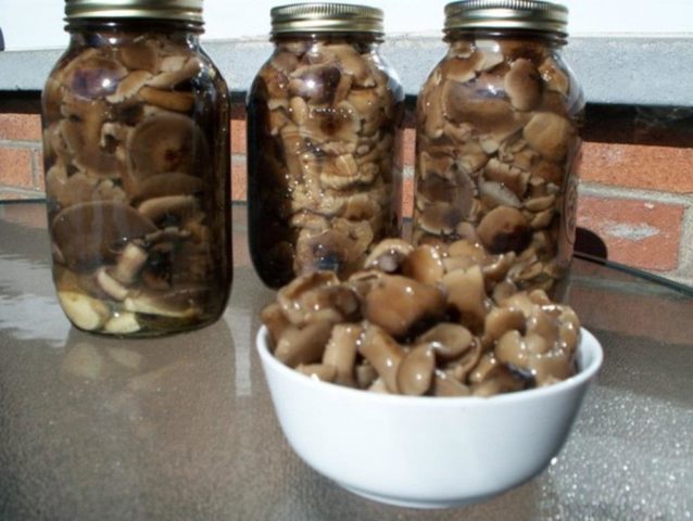 Is it possible to get poisoned with oyster mushrooms: symptoms, reviews