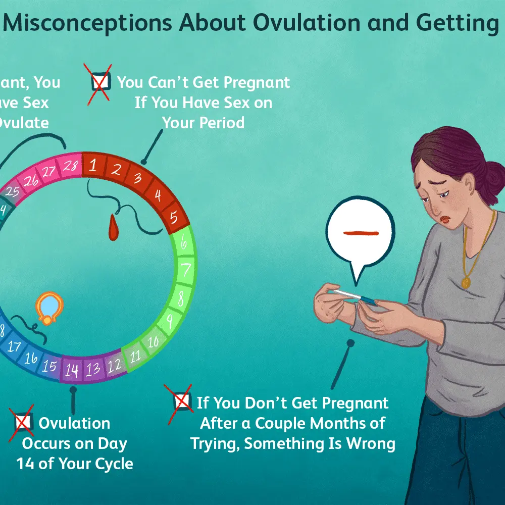 Is it possible to get pregnant during the period?